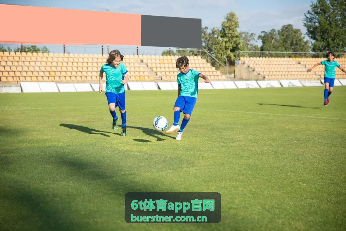 6t体育app官网iOS版下载说明封面